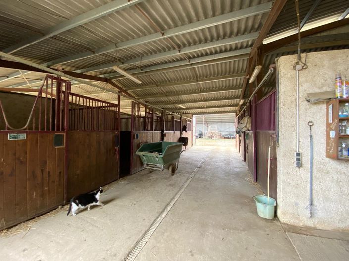 Image No.20-4 Bed House for sale