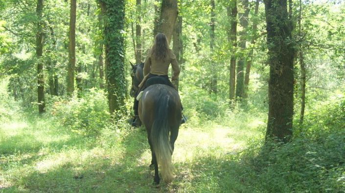 Image No.25-4 Bed House for sale