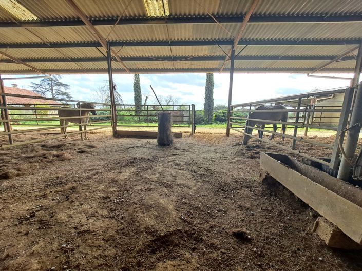 Image No.26-4 Bed House for sale