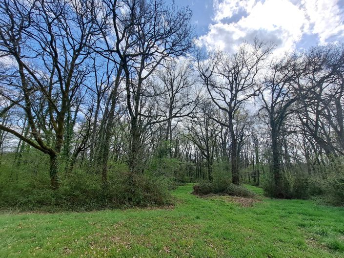 Image No.28-4 Bed House for sale