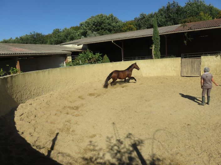 Image No.41-4 Bed House for sale