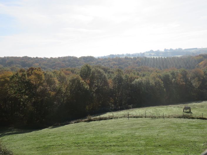 Image No.43-4 Bed House for sale