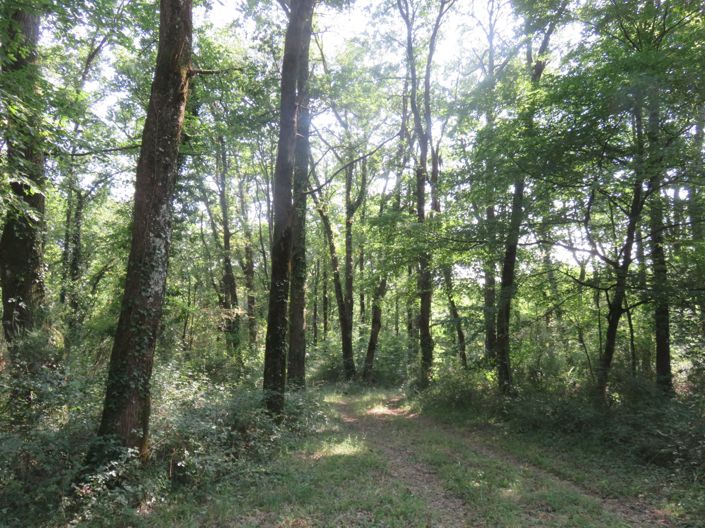 Image No.7-4 Bed House for sale