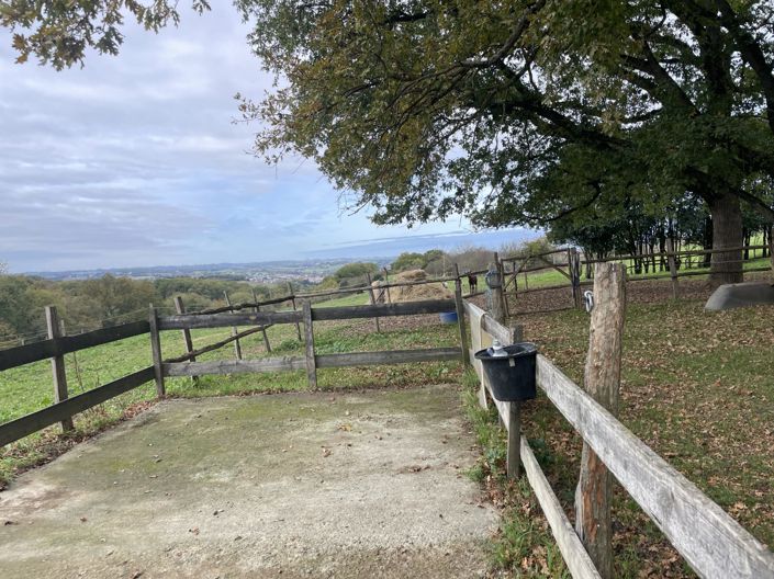 Image No.20-Maison de 4 chambres à vendre à Castillon-Debats