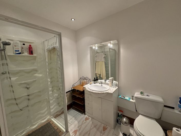 Image No.24-Maison de 3 chambres à vendre à Boulogne-sur-Gesse