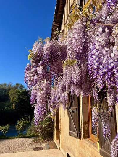 Image No.25-Maison de 7 chambres à vendre à Castelnau-Magnoac