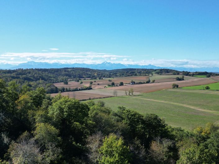 Image No.28-Maison de 7 chambres à vendre à Castelnau-Magnoac