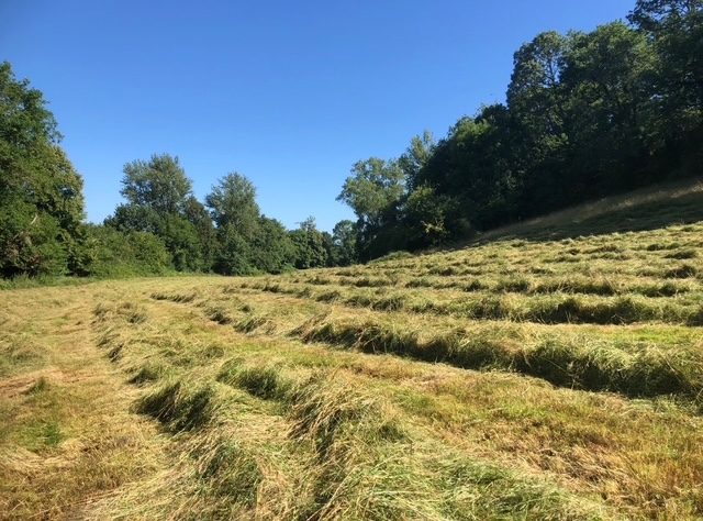 Image No.29-Maison de 7 chambres à vendre à Castelnau-Magnoac