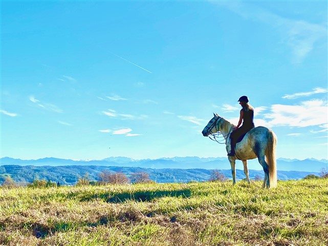 Image No.33-Maison de 7 chambres à vendre à Castelnau-Magnoac