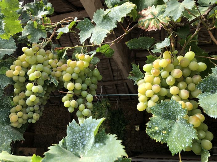 Image No.10-5 Bed House for sale