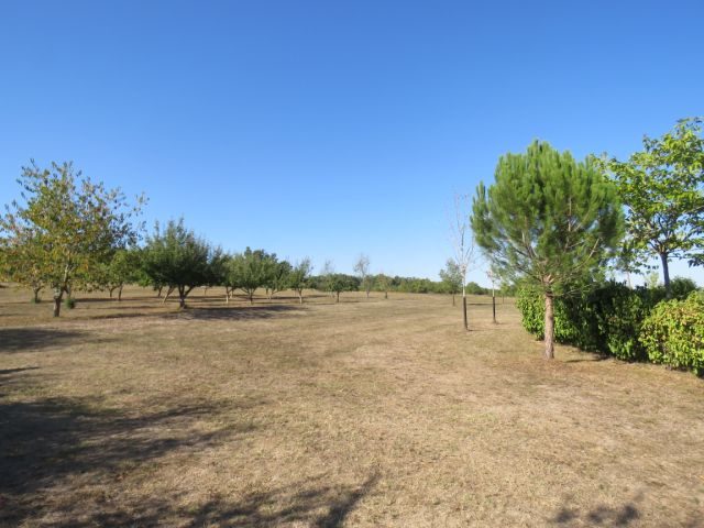 Image No.40-4 Bed House for sale