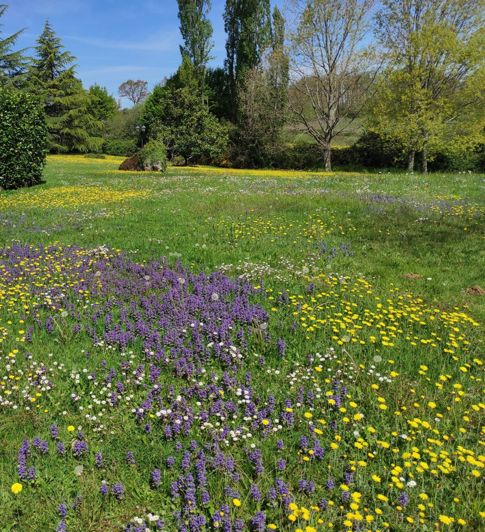 Image No.20-Maison de 4 chambres à vendre à Galan