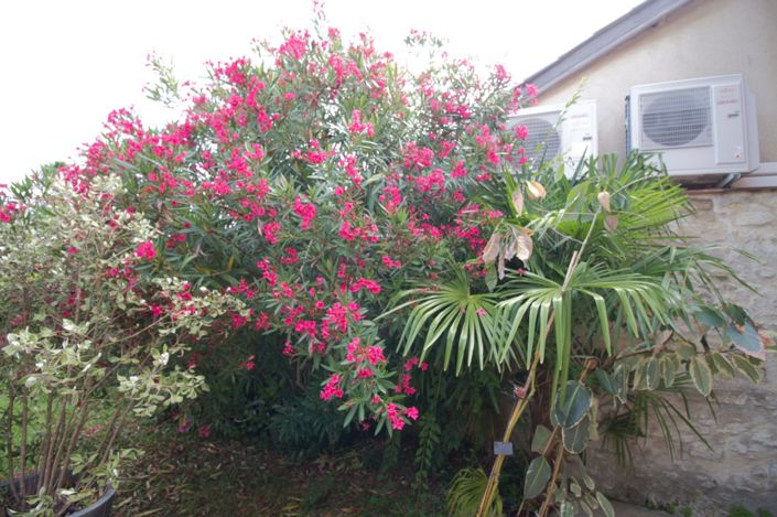 Image No.34-Maison de 3 chambres à vendre à Marciac