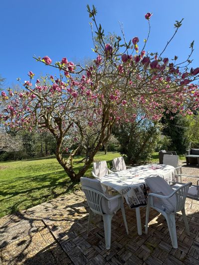 Image No.31-Maison de 4 chambres à vendre à Rabastens-de-Bigorre