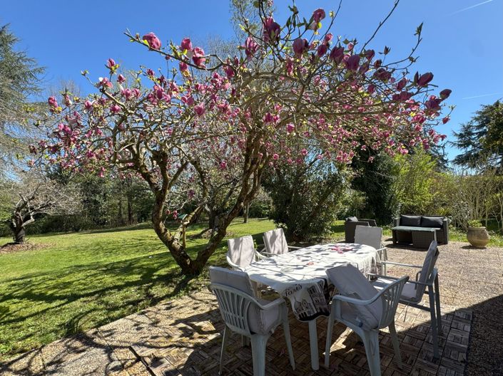 Image No.32-Maison de 4 chambres à vendre à Rabastens-de-Bigorre