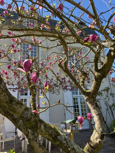 Image No.50-Maison de 4 chambres à vendre à Rabastens-de-Bigorre