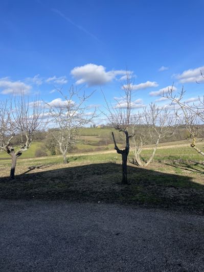 Image No.14-Maison de 2 chambres à vendre à Aussos