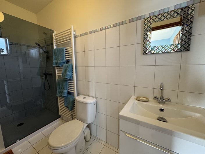 Image No.21-Maison de 4 chambres à vendre à Masseube