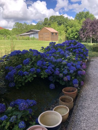 Image No.33-Maison de 4 chambres à vendre à Masseube