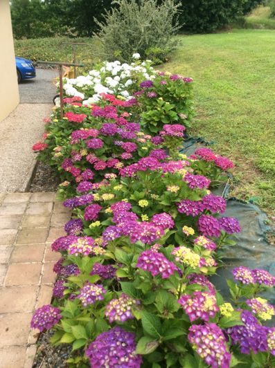 Image No.35-Maison de 4 chambres à vendre à Masseube