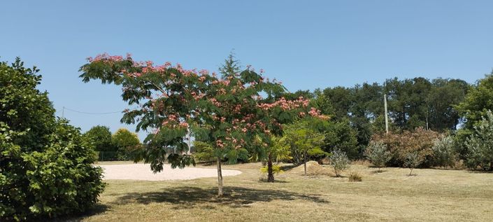 Image No.51-4 Bed House for sale