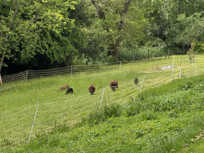Image No.31-Maison de 4 chambres à vendre à Boulogne-sur-Gesse