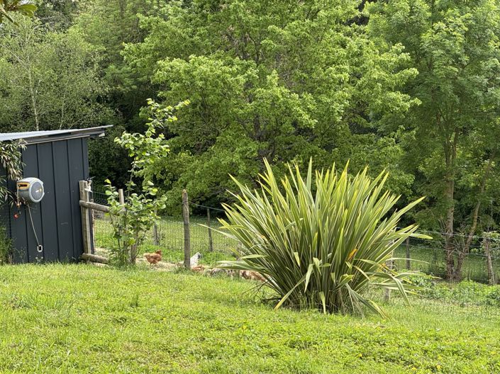 Image No.35-Maison de 4 chambres à vendre à Boulogne-sur-Gesse