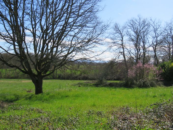 Image No.45-4 Bed House for sale