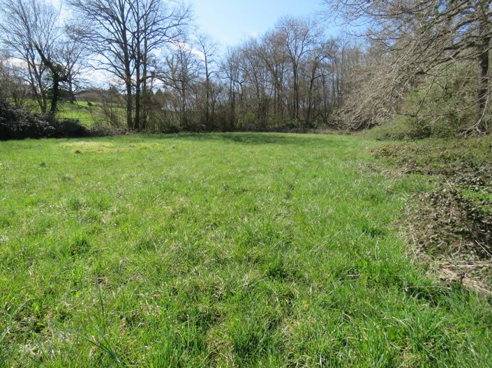 Image No.52-4 Bed House for sale