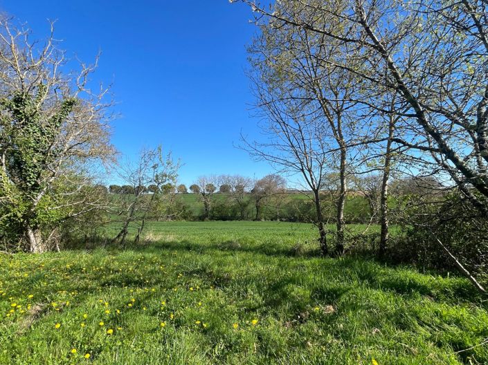 Image No.21-5 Bed House for sale