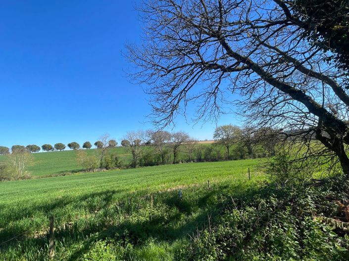 Image No.23-5 Bed House for sale