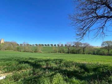 maison-1-piece-l-isle-de-noe-32300-1743520095