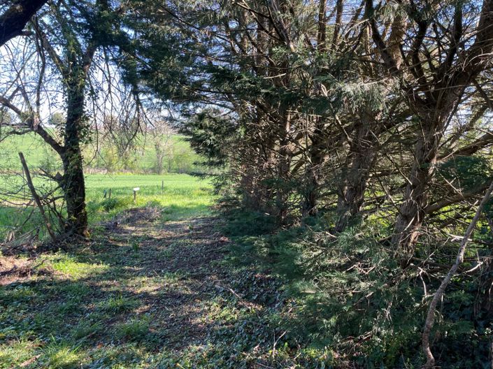 Image No.33-5 Bed House for sale