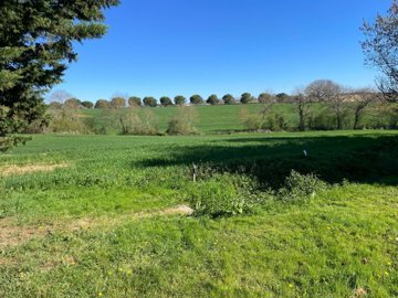 maison-1-piece-l-isle-de-noe-32300-1743520096