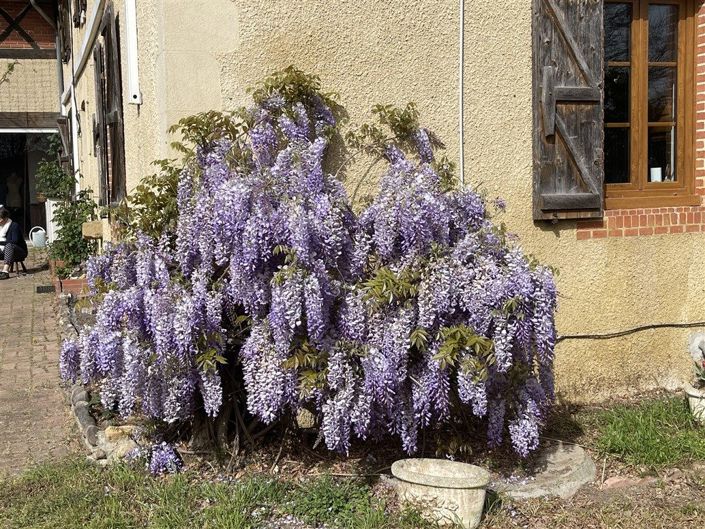 Image No.24-Maison de campagne de 4 chambres à vendre à Gers
