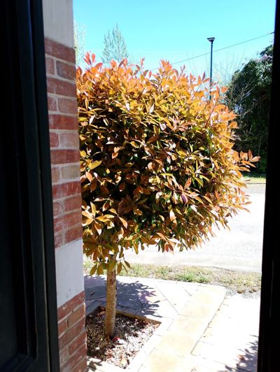 Image No.19-Maison de 4 chambres à vendre à L'Isle-en-Dodon