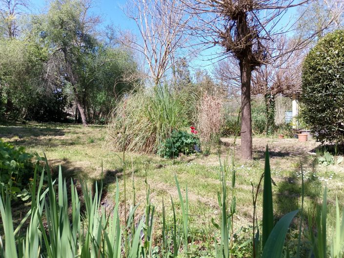 Image No.6-Maison de 4 chambres à vendre à L'Isle-en-Dodon