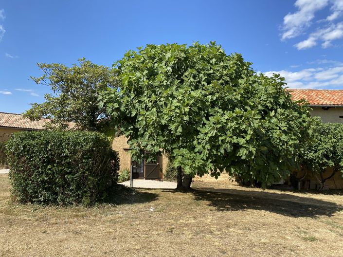 Image No.16-7 Bed House for sale