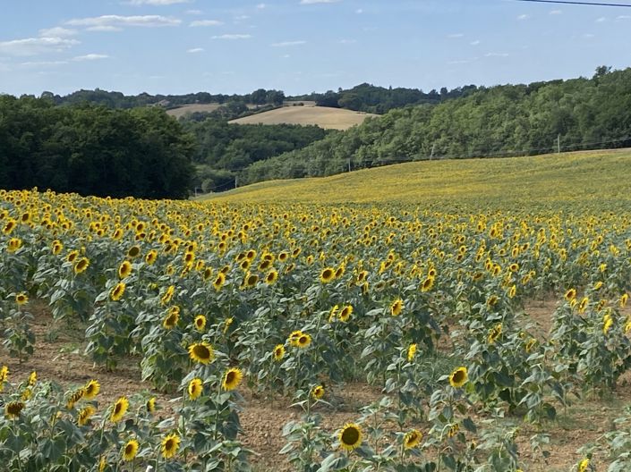 Image No.18-7 Bed House for sale