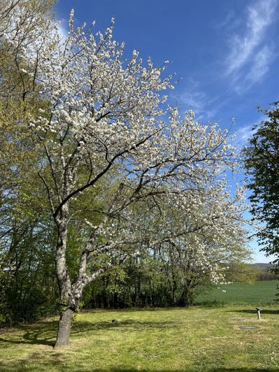 Image No.19-7 Bed House for sale