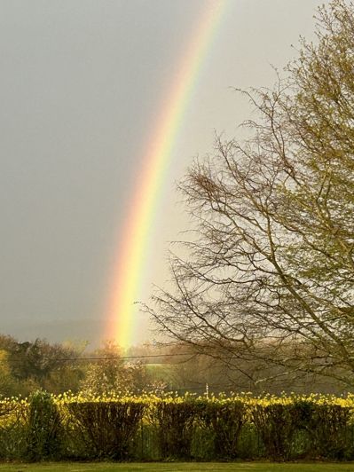 Image No.21-7 Bed House for sale