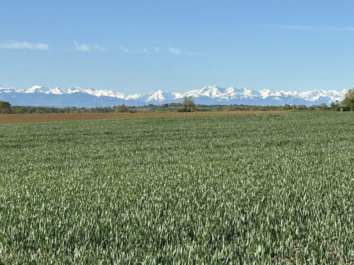 Image No.3-7 Bed House for sale