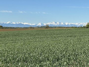 maison-16-pieces-masseube-32140-1745312299-vm