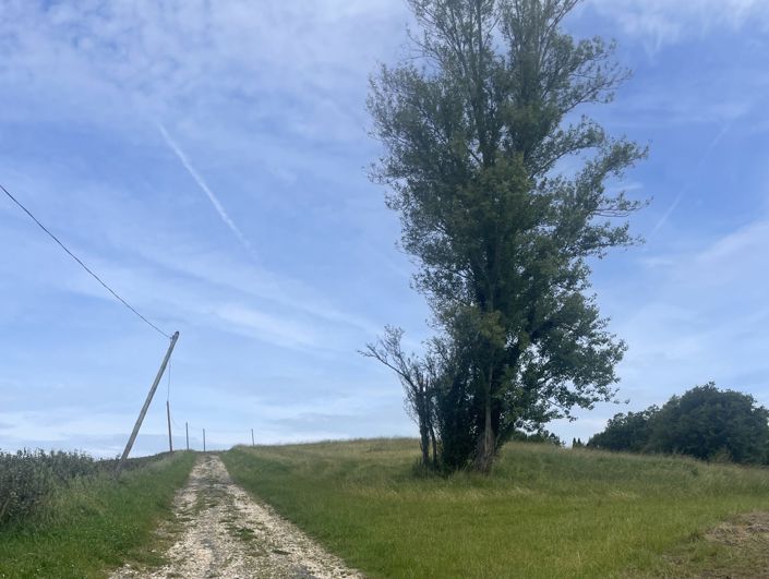 Image No.23-2 Bed House for sale