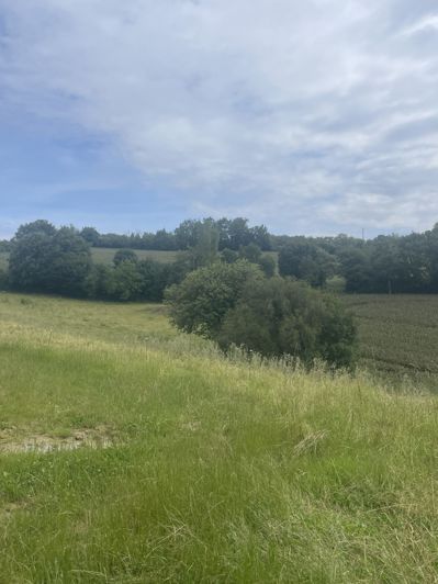 Image No.6-2 Bed House for sale