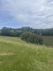 maison-4-pieces-simorre-32420-1717078198-vm37