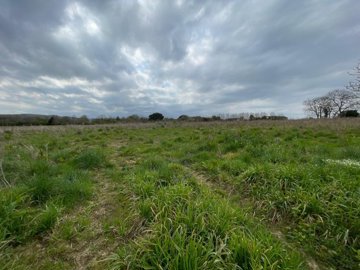 maison-8-pieces-mirande-32300-1743691363-vm39