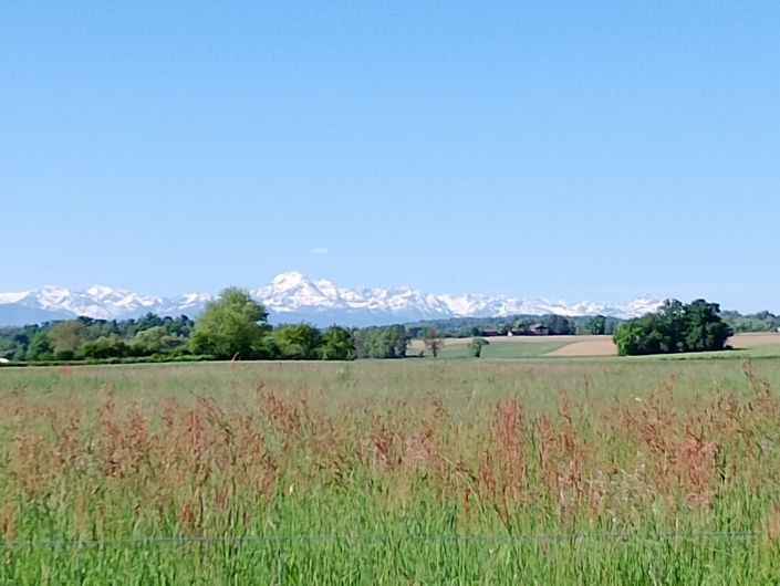 Image No.15-Maison de 4 chambres à vendre à Boulogne-sur-Gesse