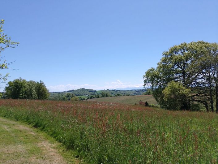 Image No.22-Maison de 4 chambres à vendre à Boulogne-sur-Gesse