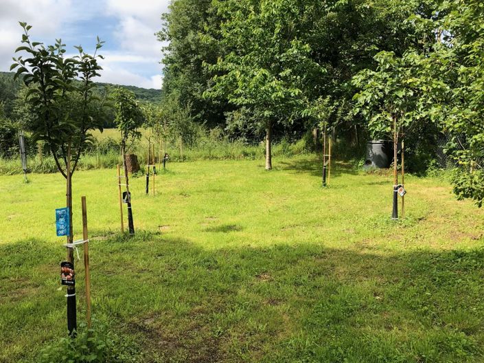 Image No.25-Maison de 6 chambres à vendre à Vic-en-Bigorre